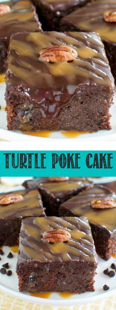 Turtle Poke Cake - Back for Seconds