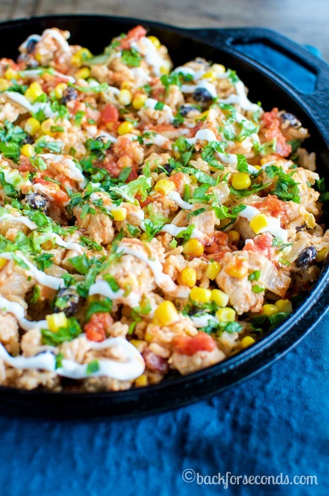20 Minute Tex Mex Chicken Skillet - Back for Seconds