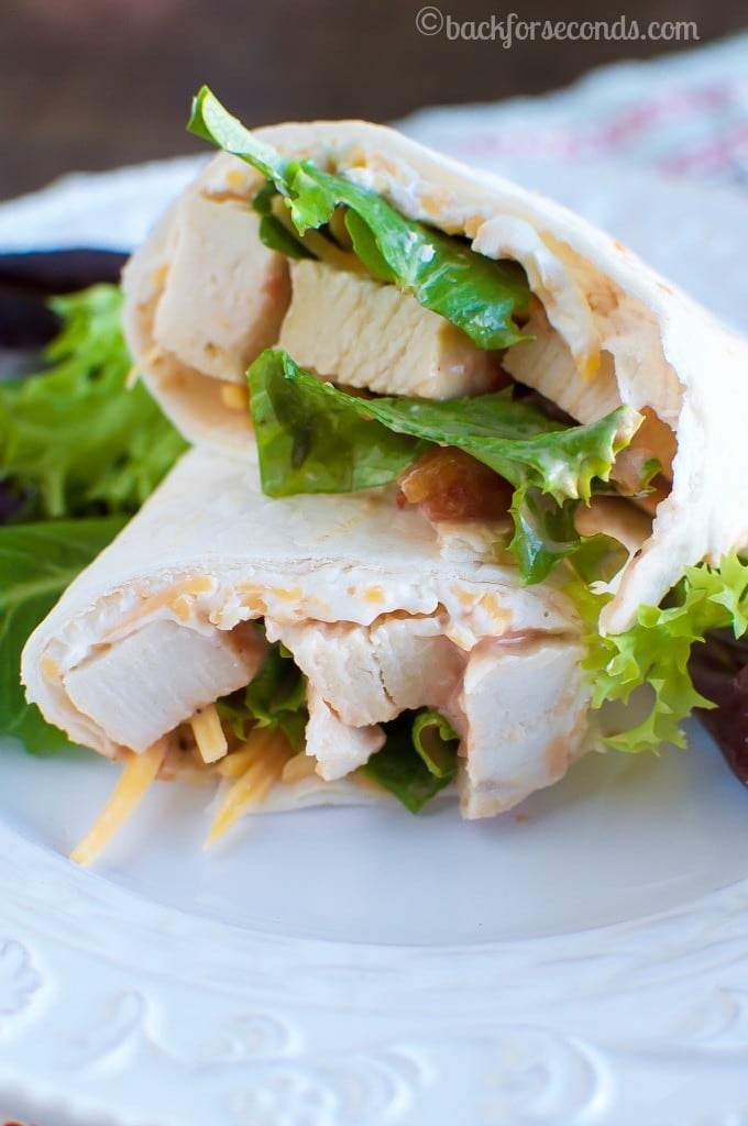 Creamy Chicken Tortilla Roll Ups - Back for Seconds