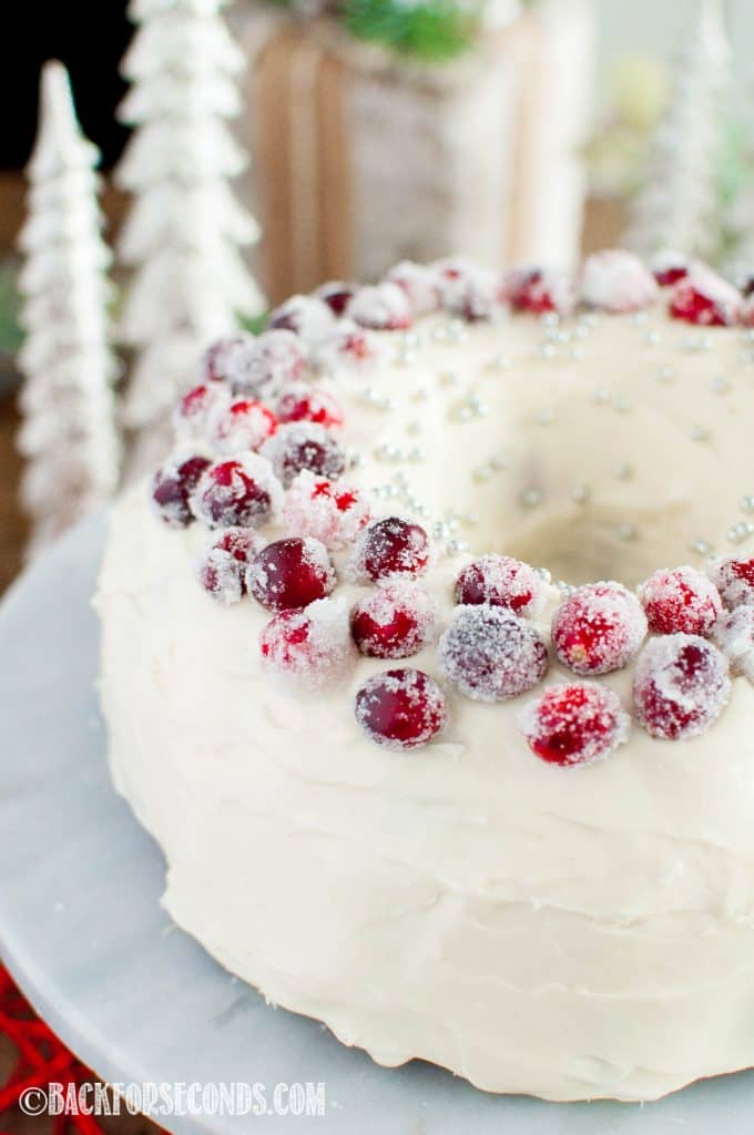 Fresh Cranberry Christmas Cake Recipe - Page 2 of 2 - Back for Seconds