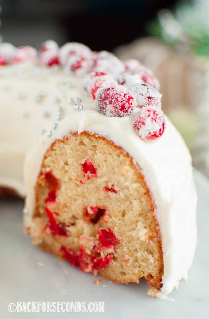 Fresh Cranberry Christmas Cake Recipe - Back For Seconds